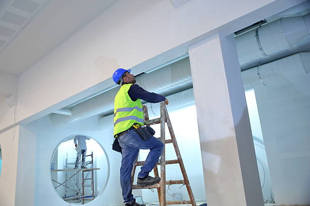 Best Residential Painting  in Sioux Center, IA